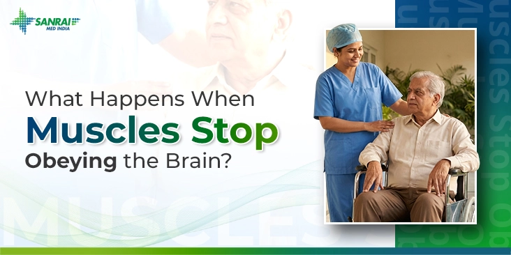 Wheelchair Support for Patients